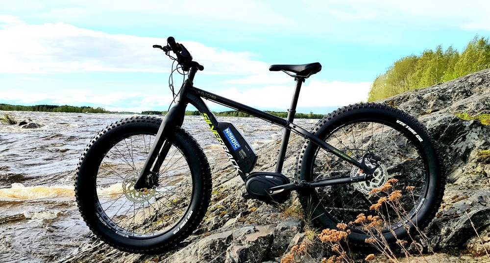 Silverback e fatbike online