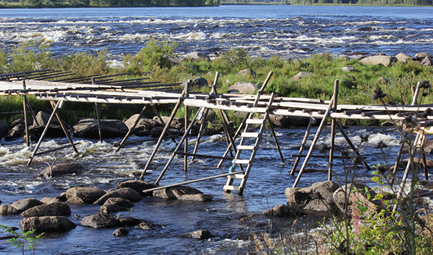 Kukkolankoski rapids