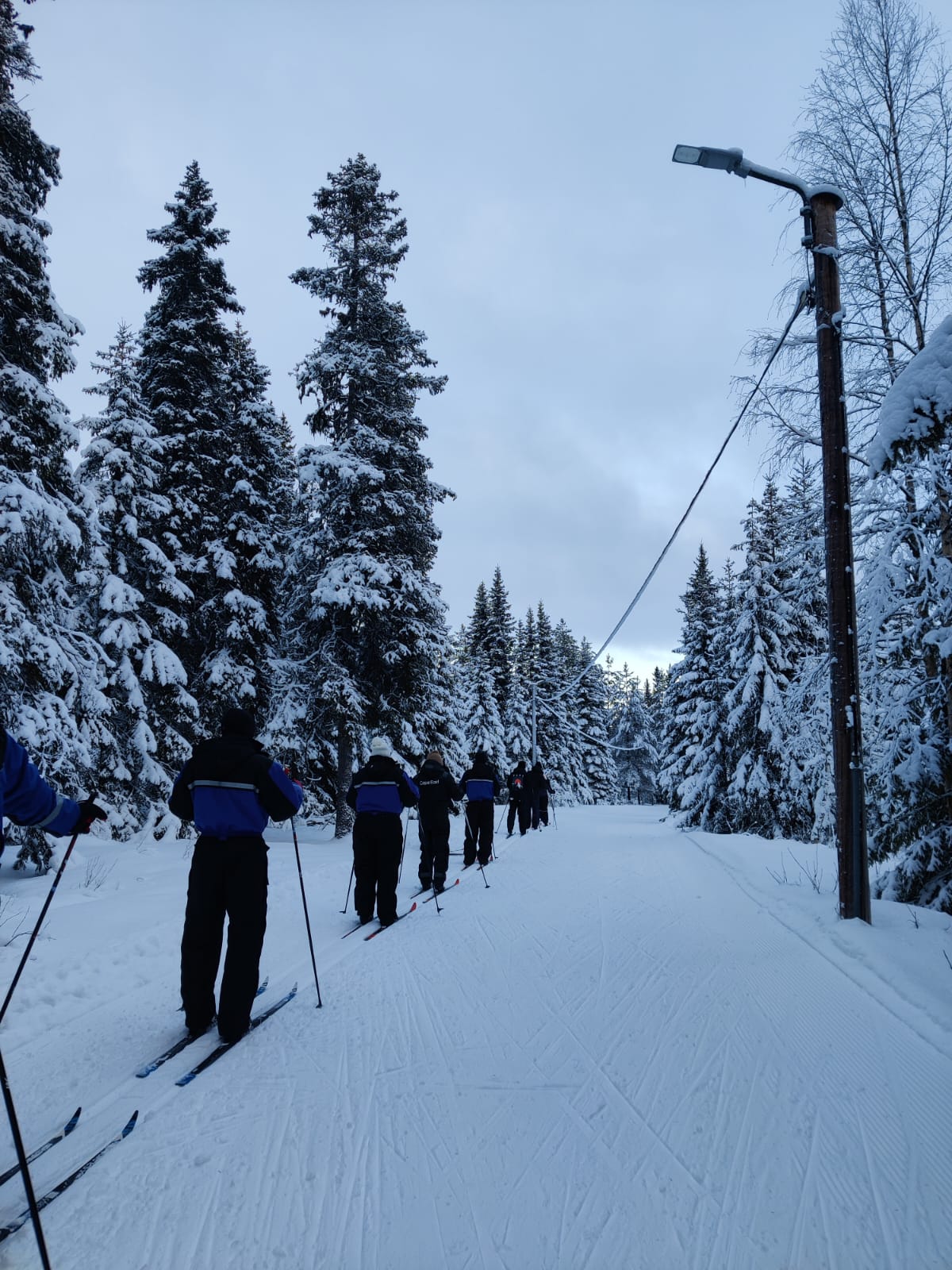 Experience the beauty of winter on a traditional cross-country skiing adventure!