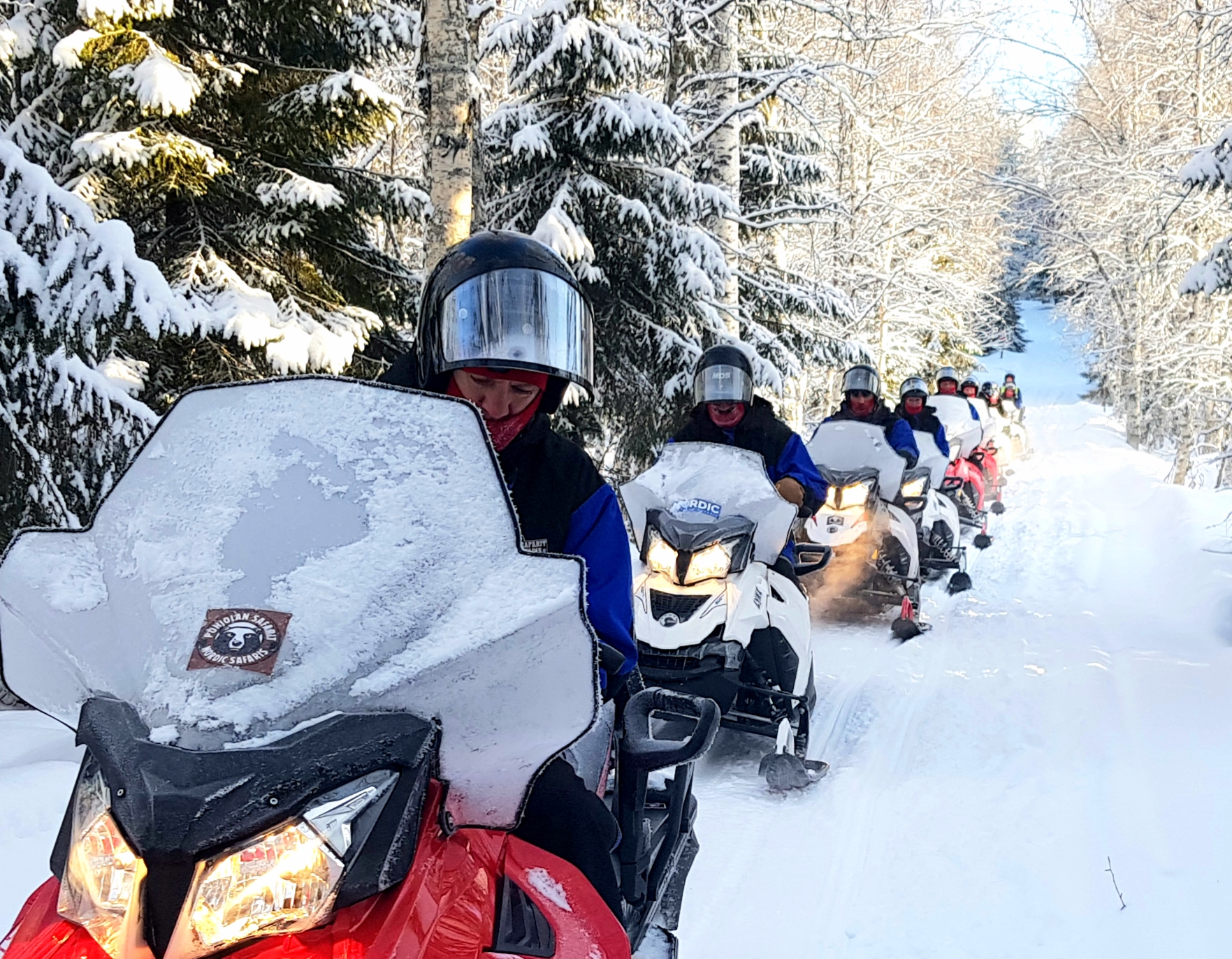 Snowmobile safari into the wilderness